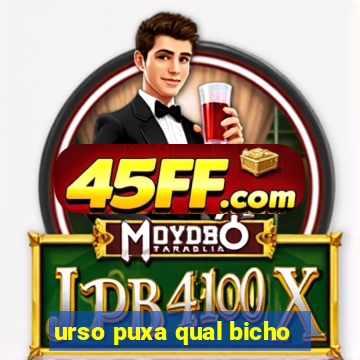 urso puxa qual bicho